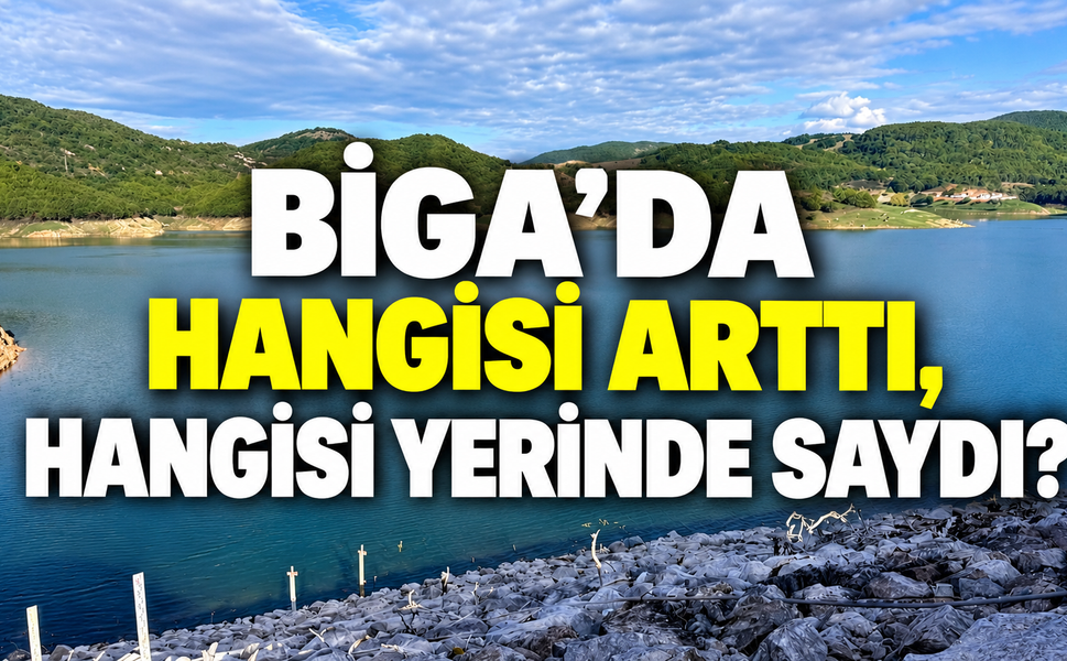 Biga’da hangisi arttı, hangisi yerinde saydı?
