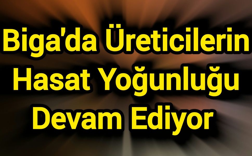 Biga'da Üreticilerin Hasat Yoğunluğu Devam Ediyor