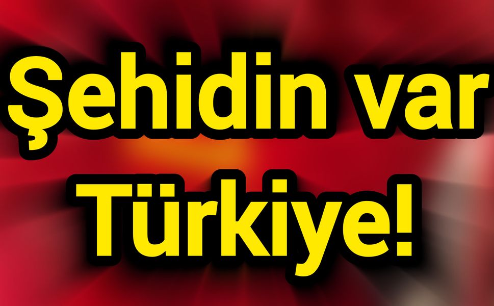 Şehidin var Türkiye!