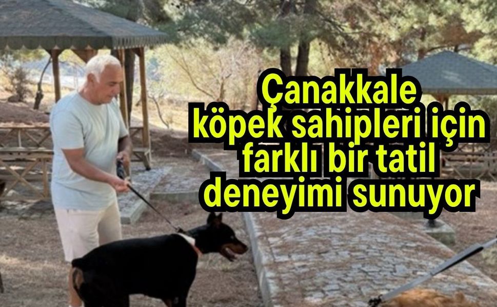 Çanakkale köpek sahipleri için farklı bir tatil deneyimi sunuyor