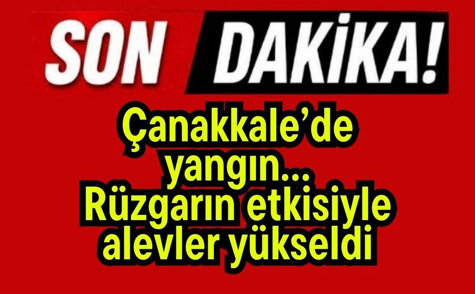 Çanakkale’de yangın… Rüzgarın etkisiyle alevler yükseldi