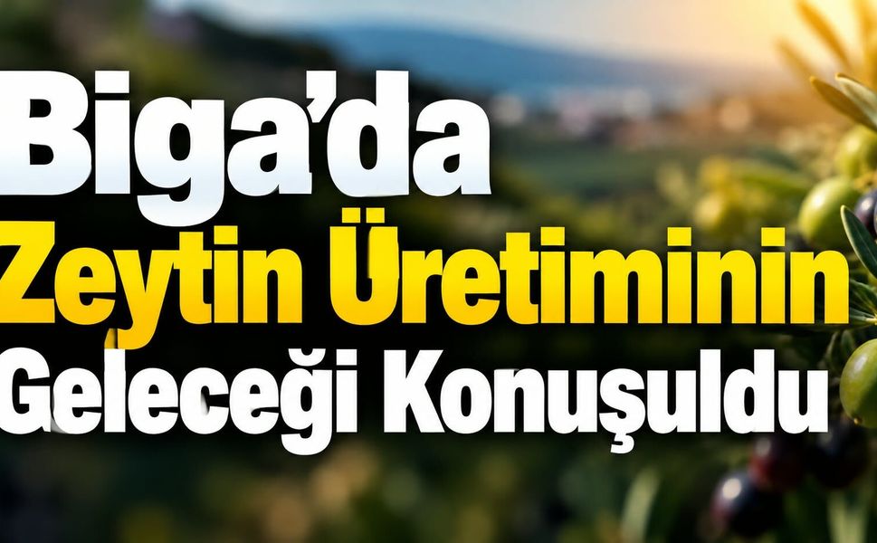 Biga’da zeytin üretiminin geleceği konuşuldu